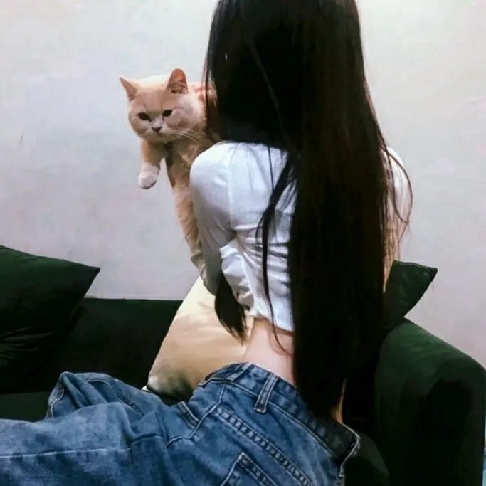 霹雳彩虹